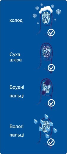 в����� ��� �������� Բ������� �������